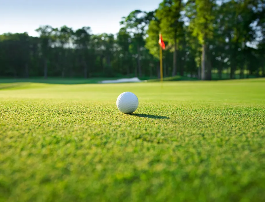 Close-up of a golf ball on a particularly green fairway during a golf vacation at the Rugard Thermal Strandhotel on Rügen.