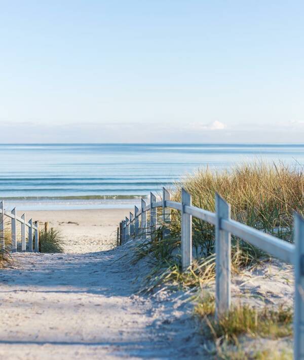 Zugang zum Strand vom Strandhotel in Binz über eine Düne, gesäumt von Schilf im Wellnessurlaub auf Rügen.