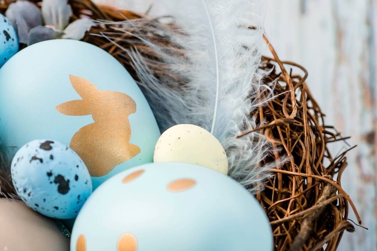 Nahaufnahme von blauen Ostereiern in einem Nest.