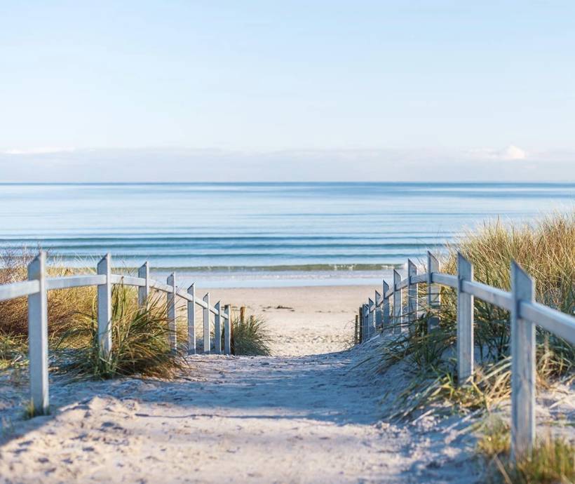 Strandweg zum Meer, gesäumt von Gräsern und einem Geländer.