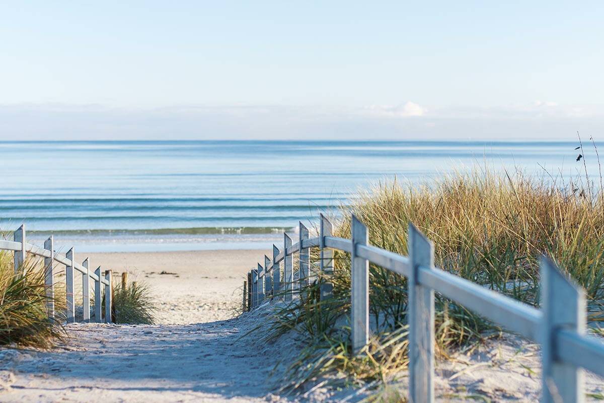 Zugang zum Strand vom Strandhotel in Binz über eine Düne, gesäumt von Schilf im Wellnessurlaub auf Rügen.