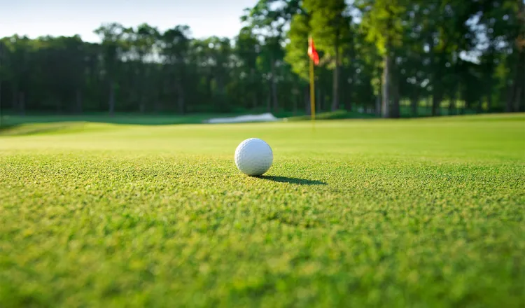 Close-up of a golf ball on a particularly green fairway during a golf vacation at the Rugard Thermal Strandhotel on Rügen.