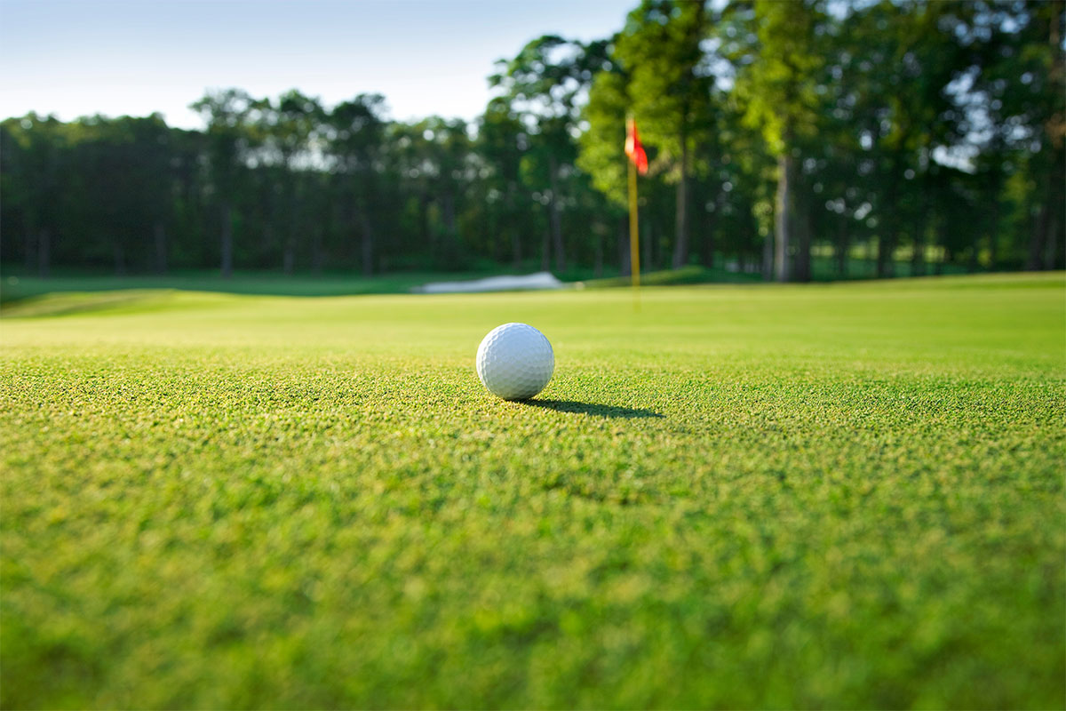 Detailaufnahme eines Golfballs auf einem besonders grünem Fairway im Golfurlaub im Rugard Thermal Strandhotel auf Rügen.